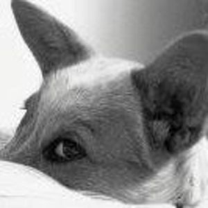 Meet your Posher, Marc